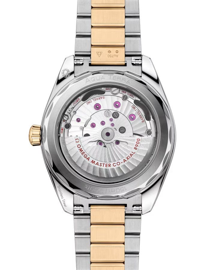 OMEGA Seamaster Aqua Terra 150m Co-Axial Master Chronometer 41mm 