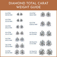 14K White Gold 1/4CTW Diamond Stud Earrings