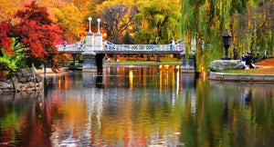 4 Colorful Fall Proposal Ideas That Will Leave Her Speechless