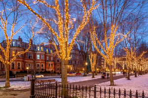 11 Holiday-Themed Anniversary Date Ideas In Boston