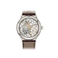 Patek Philippe Grand Complications 5236P-010