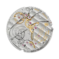 Patek Philippe Complications 5249R-001