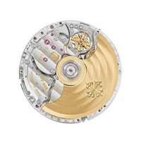Patek Philippe Grand Complications 5322G-010