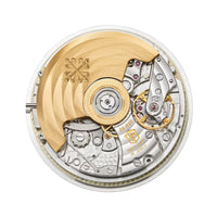 Patek Philippe Complications 5930P-001