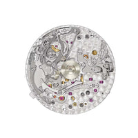 Patek Philippe Grand Complications 7047G-001