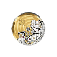 Patek Philippe Twenty~4 7300/1200A-011