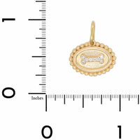 14K Yellow Gold Small Diamond Dog Bone Charm