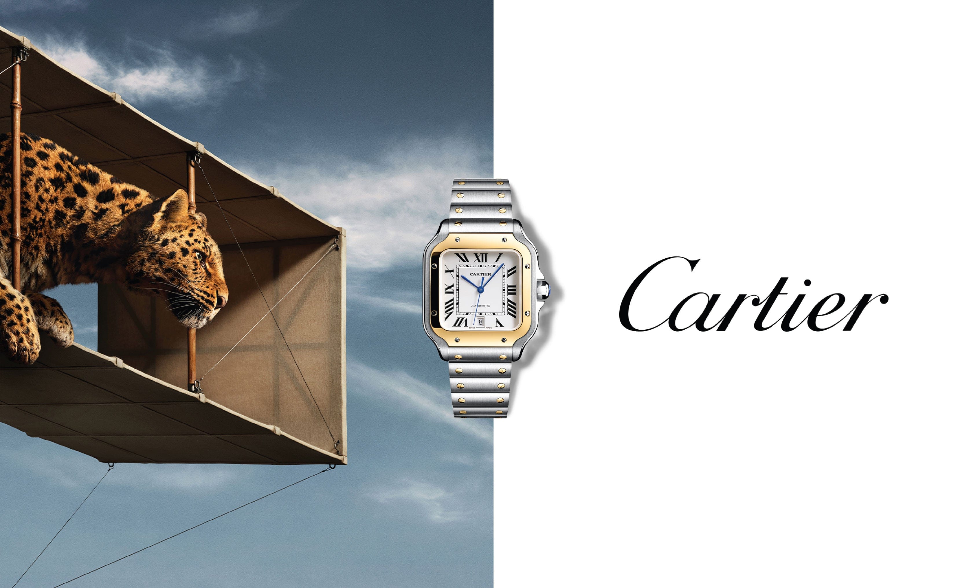 Cartier watch with a leopard on a tree branch against a blue sky
