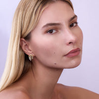 Emily P. Wheeler 18K Yellow Gold Baby Fringe Ombre White and Brown Diamond Drop Earrings