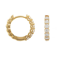 https://vimeo.com/1227419590?fl=tl&fe=ec&share=copy