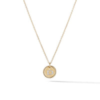 "D" Pendant with Diamonds in Gold on Chain