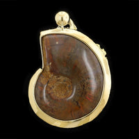 18K Yellow Gold Estate Ammonite Fossil and Cat's Eye Chrysoberyl Pendant