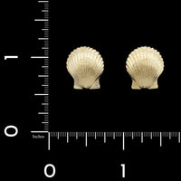 14K Yellow Gold Estate Shell Earrings