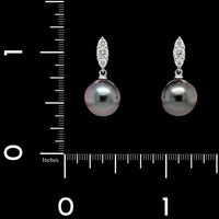 Mikimoto 18K White Gold Estate Morning Dew Black South Sea Cultured Pearl and Diamond Earrings