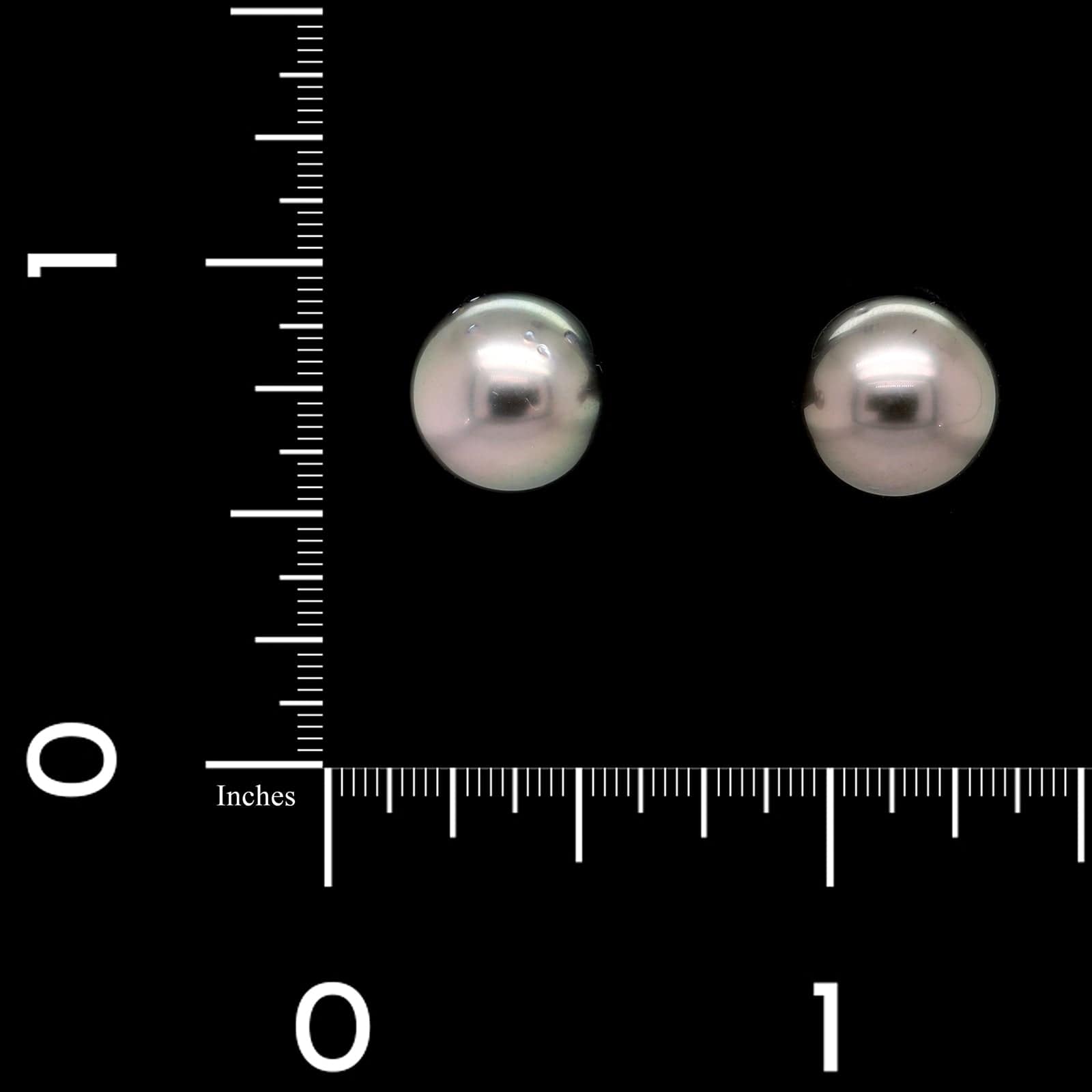 14K White Gold Estate Pearl Stud Earrings