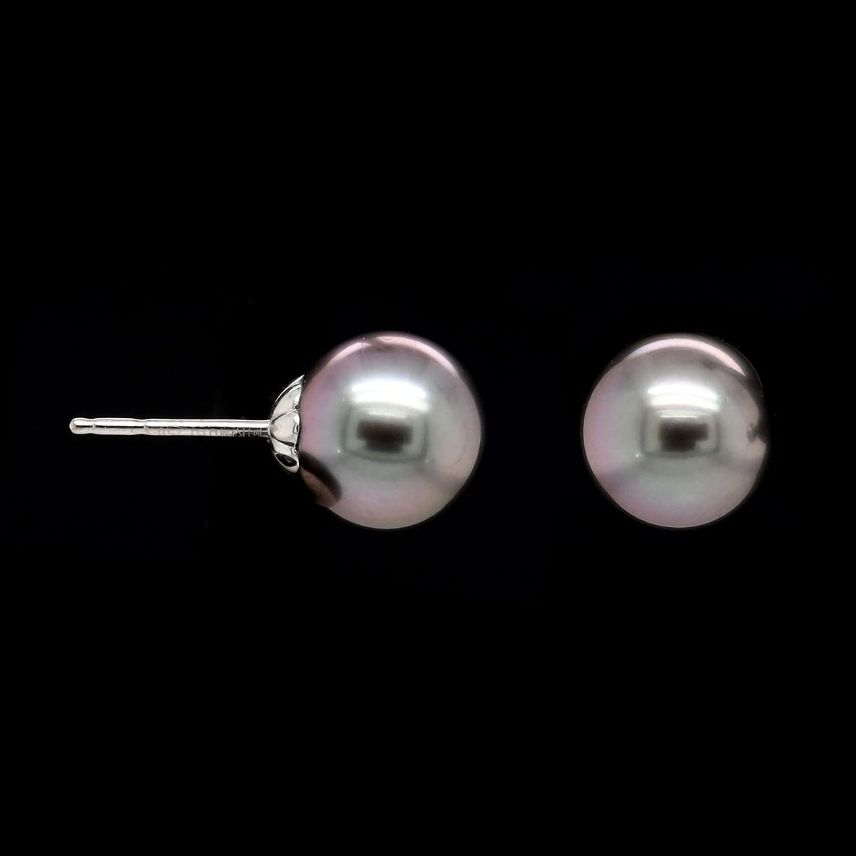 Mikimoto 18K White Gold Estate Black South Sea Cultured Pearl Stud Earrings