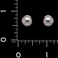 Mikimoto 18K White Gold Estate Black South Sea Cultured Pearl Stud Earrings