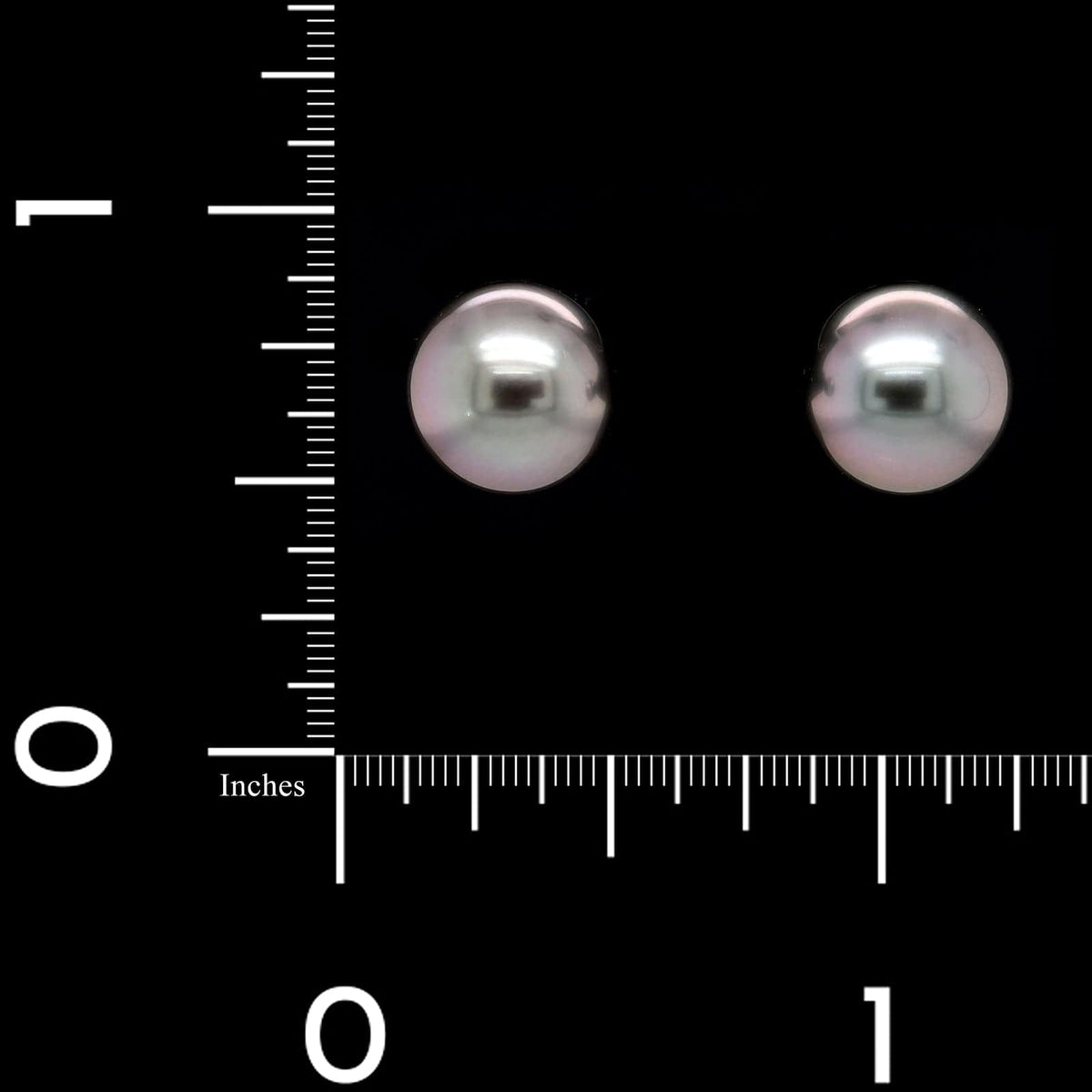 Mikimoto 18K White Gold Estate Black South Sea Cultured Pearl Stud Earrings