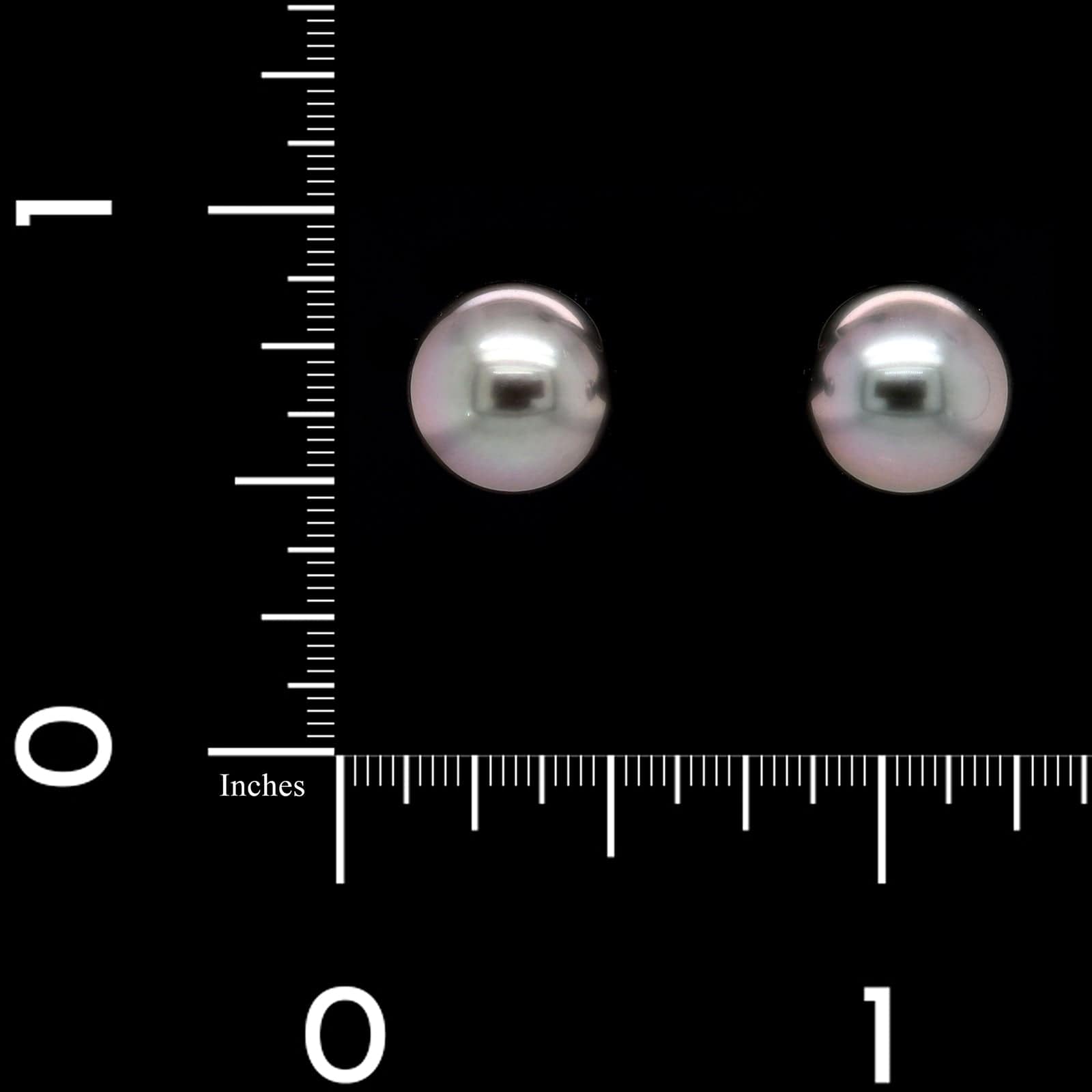 Mikimoto 18K White Gold Estate Black South Sea Cultured Pearl Stud Earrings