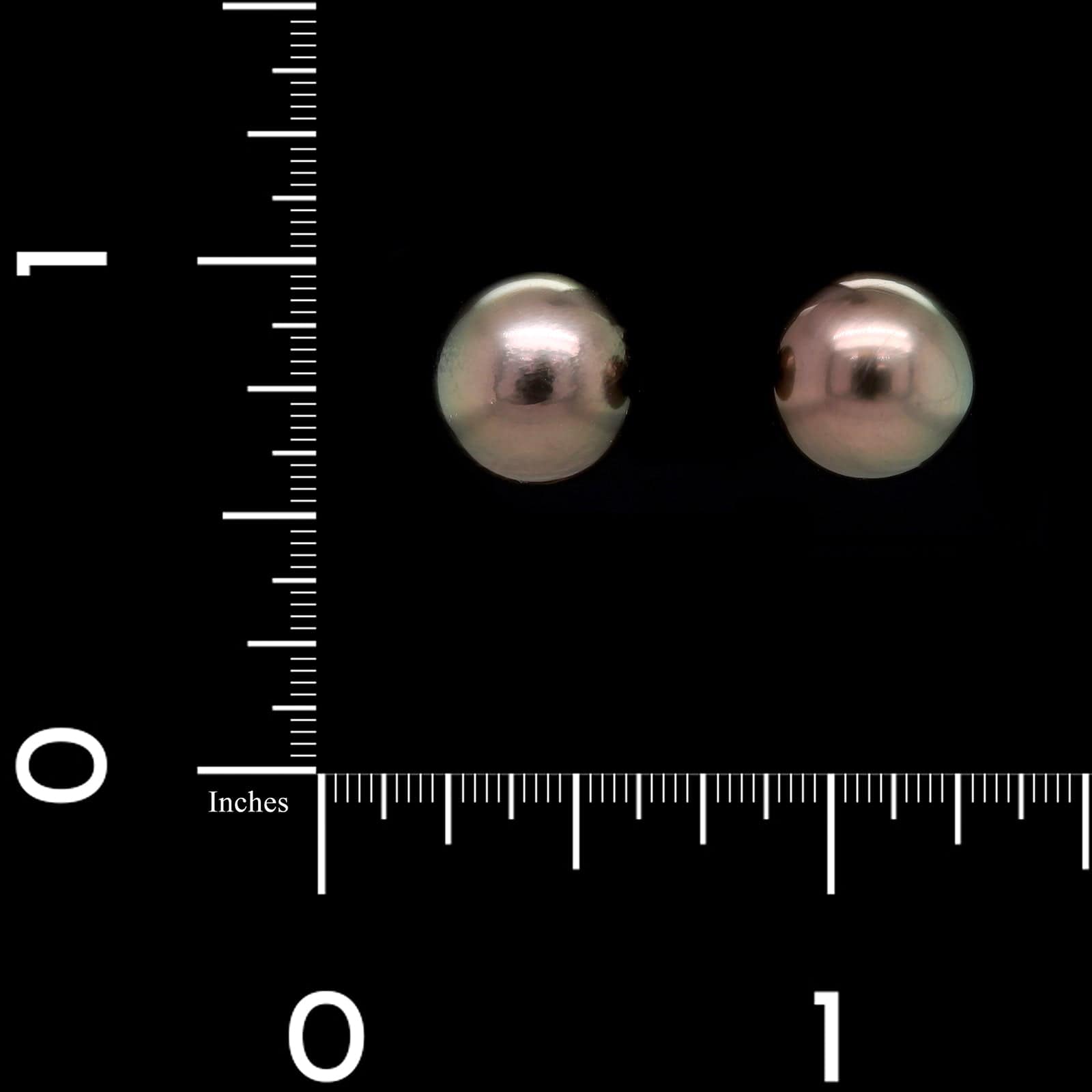 18K White Gold Estate Cultured Tahitian Pearl Stud Earrings