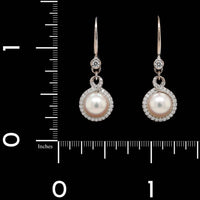 Mikimoto 18K White Gold Estate Akoya Cultured Pearl and Diamond Petite Soleil Earrings