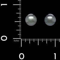 Mikimoto 18K White Gold Estate Black South Sea Cultured Pearl Stud Earrings