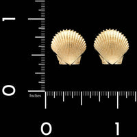 14K Yellow Gold Estate Shell Earrings