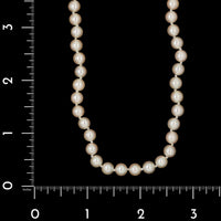 Vintage 14K Yellow Gold Estate Mikimoto Cultured Pearl Necklace
