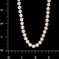 18K Yellow Gold Estate Mikimoto Akoya Cultured Pearl Necklace