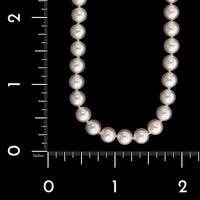 Tiffany & Co. Estate Akoya Cultured Pearl Necklace