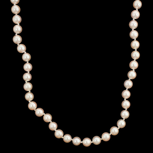 [新品] MIKIMOTO THE PEARL NECKLACE 写真集 送料無料〉ミキモト THE PEARL NECKLACE 写真集 アートブック