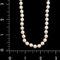 Mikimoto 18K White Gold Estate Akoya Cultured Pearl Necklace