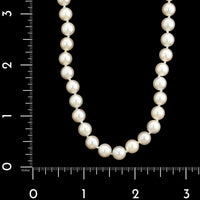 14K White Gold Estate Cultured Akoya Pearl Necklace