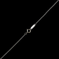 Tiffany & Co. 18K White Gold Estate Diamond Flower Key Pendant Necklace
