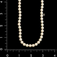 Mikimoto 18K White Gold Estate Akoya Cultured Pearl Necklace