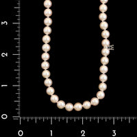 Mikimoto 18K White Gold Estate Akoya Cultured Pearl Necklace