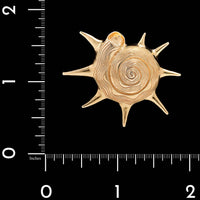 14K Yellow Gold Estate Starshell Pin