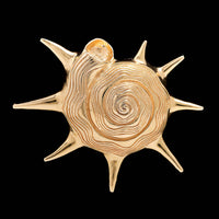 14K Yellow Gold Estate Starshell Pin