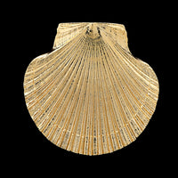 14K Yellow Gold Estate Shell Pin Pendant