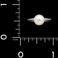 Mastoloni 18K White Gold Estate Cultured Pearl and Diamond Ring