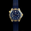 Stainless Steel and Yellow Gold Pre-Owned Omega Estate Seamaster Diver