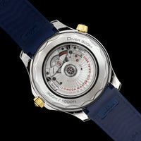Stainless Steel and Yellow Gold Pre-Owned Omega Estate Seamaster Diver