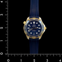 Stainless Steel and Yellow Gold Pre-Owned Omega Estate Seamaster Diver