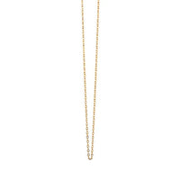 18K Yellow Gold Bobbie Chain Necklace