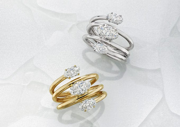 Shop the Collection