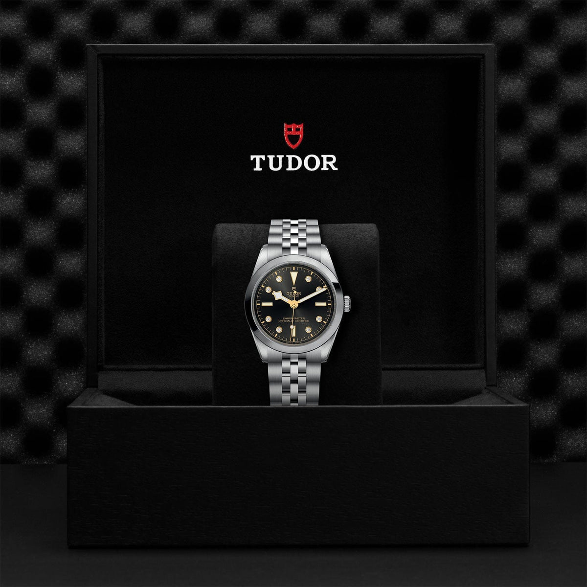 TUDOR Black Bay 36 Steel