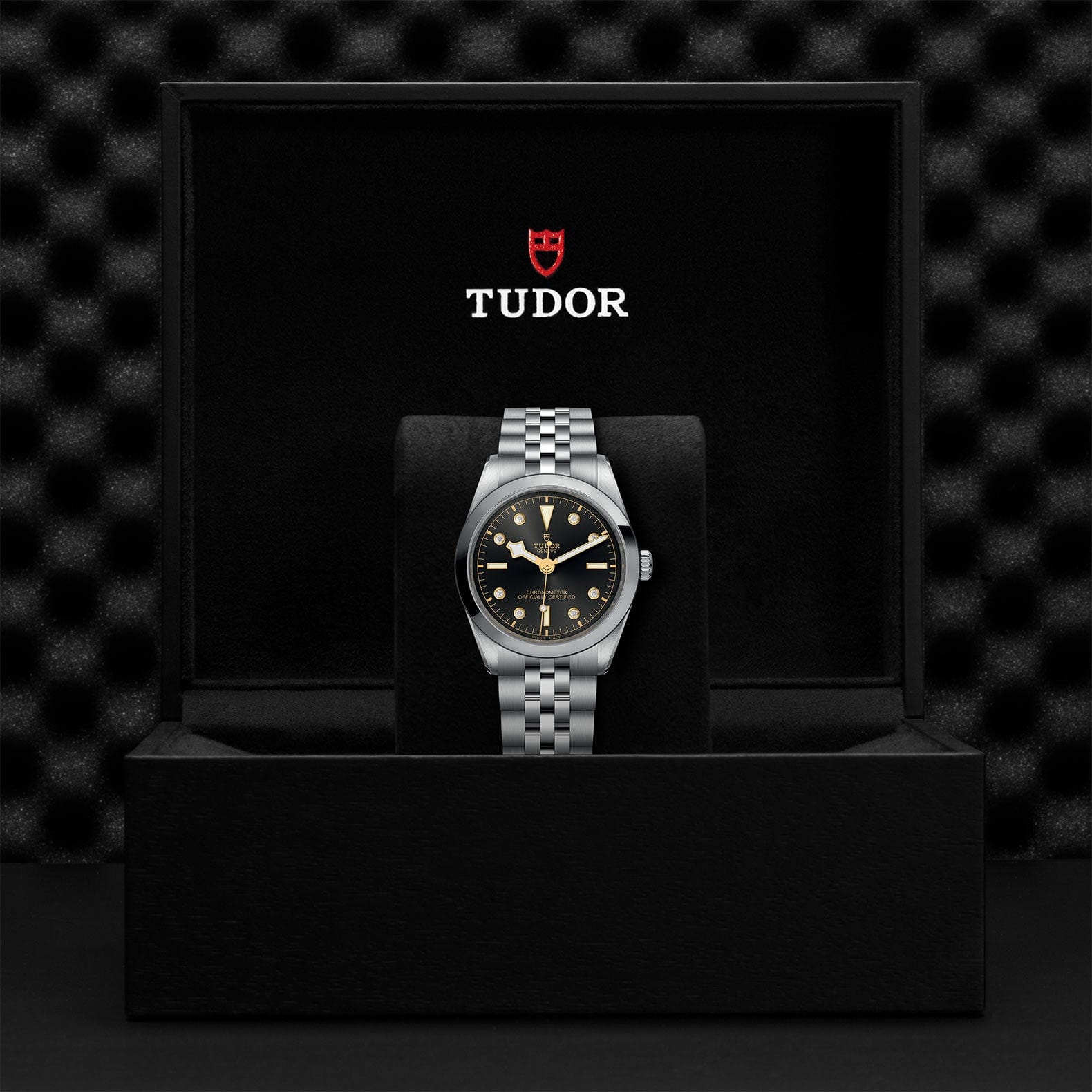 TUDOR Black Bay 36 Steel