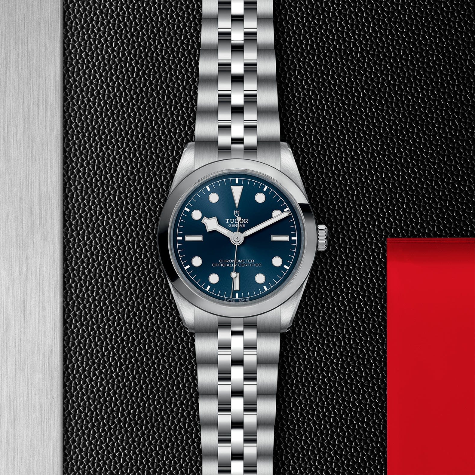 TUDOR Black Bay 36 Steel