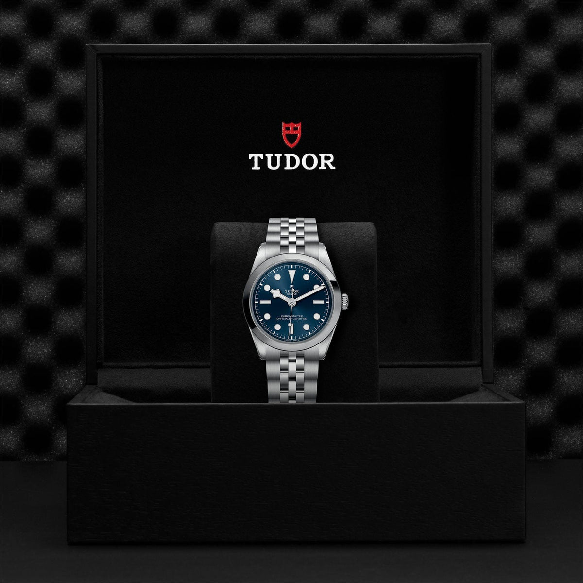 TUDOR Black Bay 36 Steel