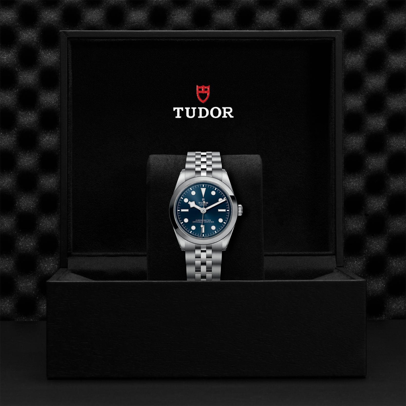 TUDOR Black Bay 36 Steel